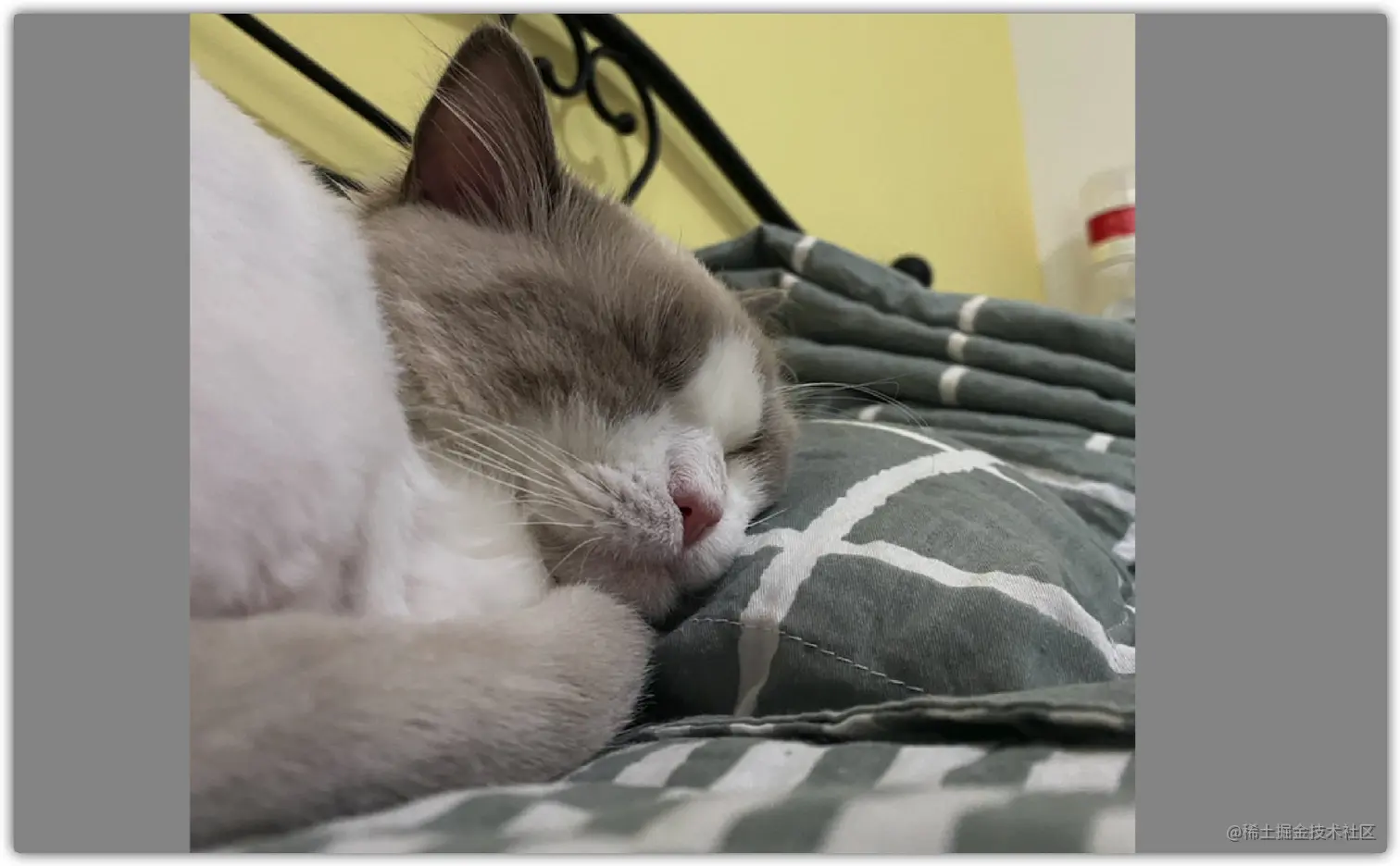 image-20210815173059009