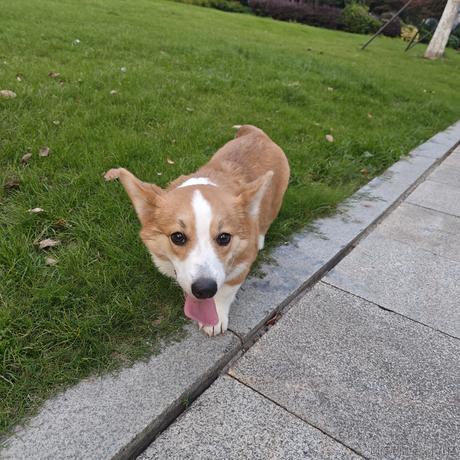 尼古拉斯阿柴于2023-06-12 18:37发布的图片