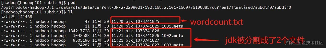 image-20221130220146850