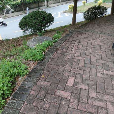 用户293003374676于2022-11-16 07:14发布的图片