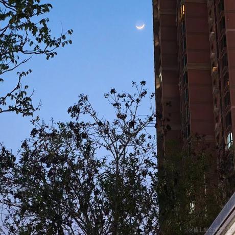 灰太狼二叔于2024-04-12 08:43发布的图片