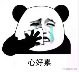 xinlei