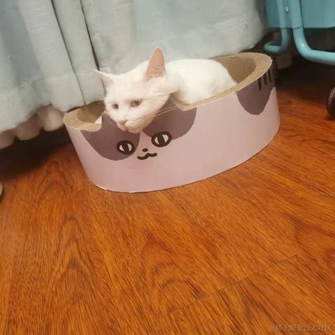 路有冻死狗于2021-10-27 19:03发布的图片