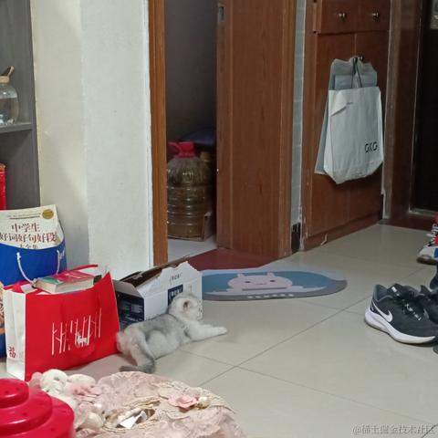 超人阿零于2023-06-27 09:26发布的图片
