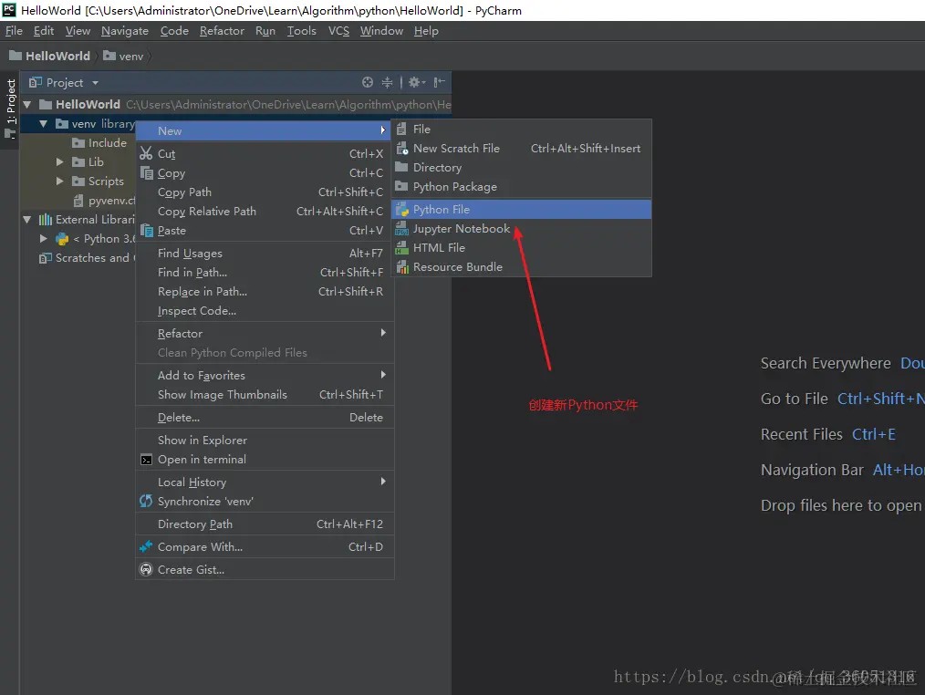 创建一个Python文件