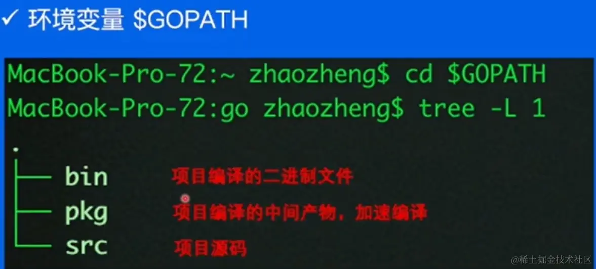 image-20230201201242191