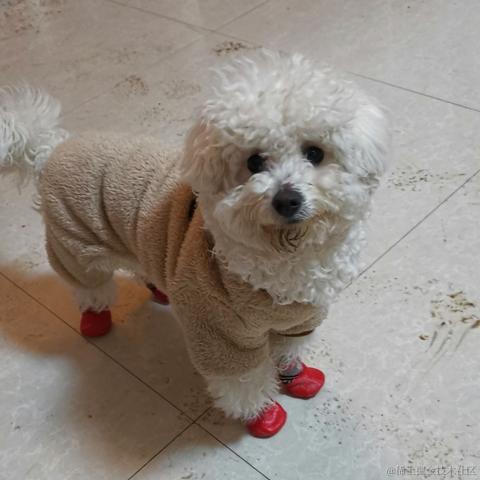 hhhhhao于2023-01-18 12:38发布的图片