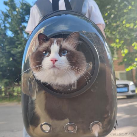 qalong于2022-09-12 01:49发布的图片