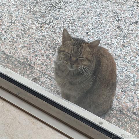 Diana嘉然于2022-11-21 09:22发布的图片