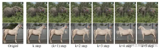 图 1. DragGAN 由于内容突变发生跟踪点丢失