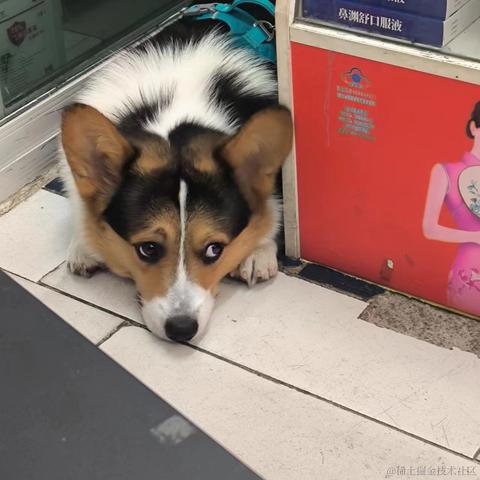 知_足于2024-06-18 10:22发布的图片