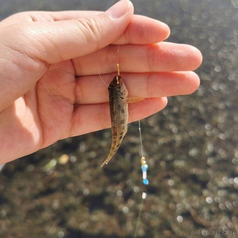 石榴在春天于2022-04-03 19:18发布的图片