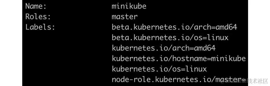 图 17.8：描述 minikube 节点