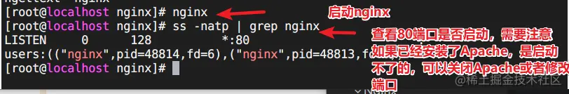 image-20220503164250868