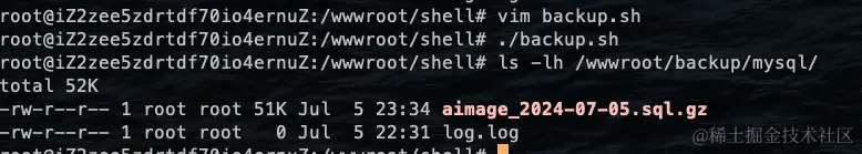 image-20240705233523518