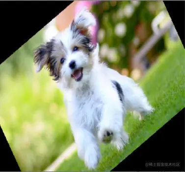 Rotate Image by Angle in Python OpenCV imutil.rotate()