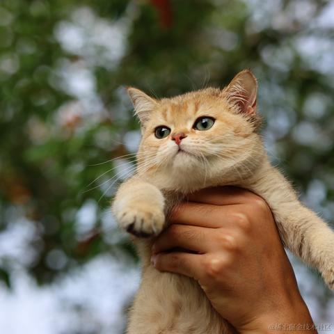 我4倒霉蛋于2022-11-22 09:12发布的图片