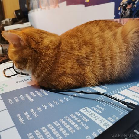 柒弎于2022-11-22 17:48发布的图片