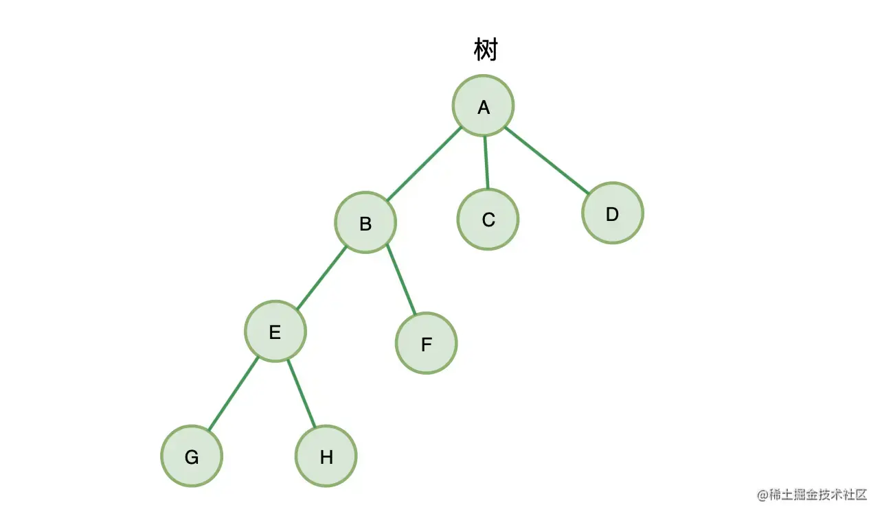 树的概念.png