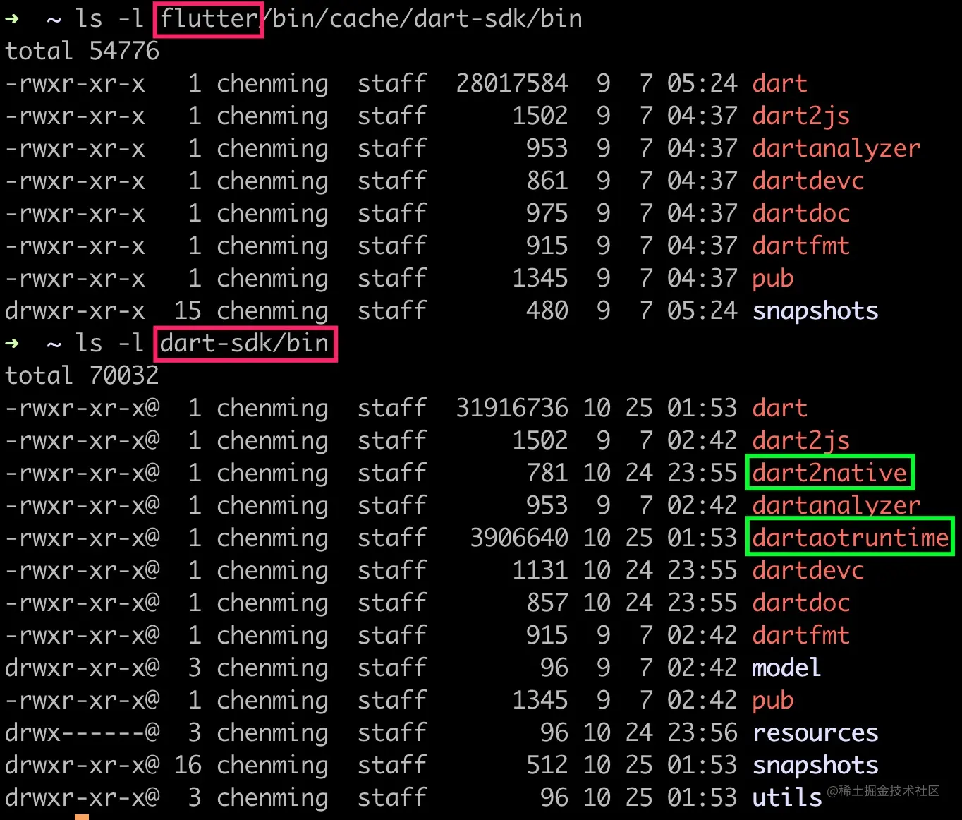 Dart SDK 中的 dart2native 命令