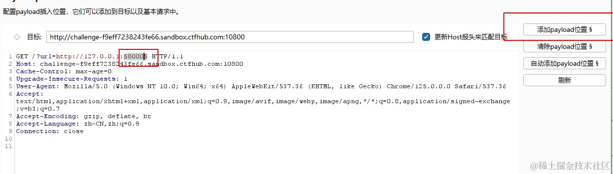 image-20240616132053488