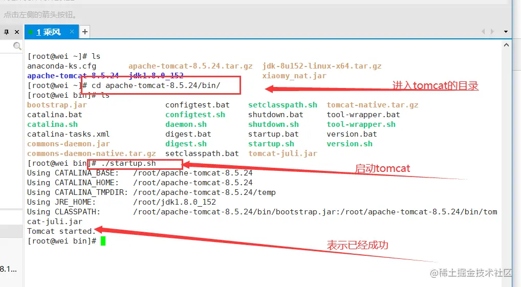 Linux使用「网云穿」【Centos7演示】