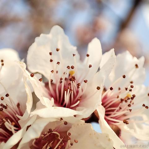 不会写代码的梓于2023-05-03 11:22发布的图片