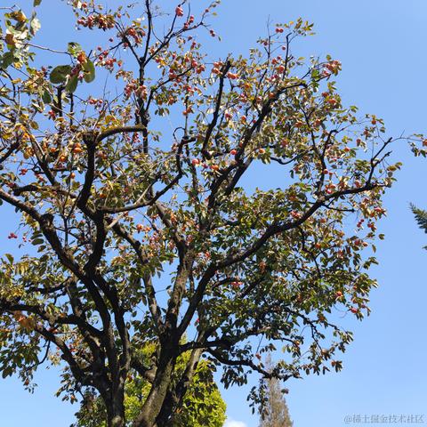 重庆小保洁于2023-03-17 11:48发布的图片