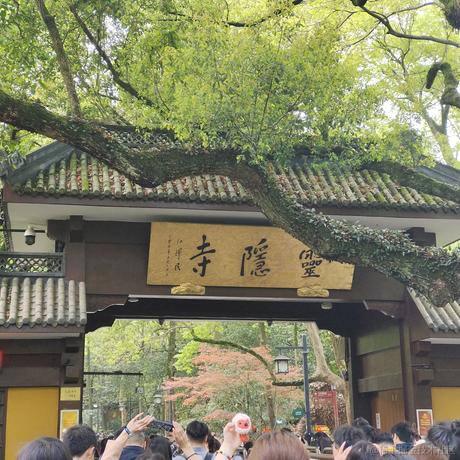 Tender小王于2023-04-18 14:52发布的图片