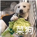 秃头少年于2021-01-26 16:41发布的图片