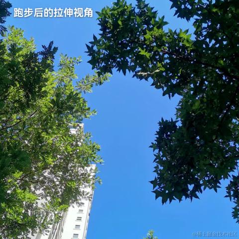 草帽lufei于2023-06-10 08:46发布的图片