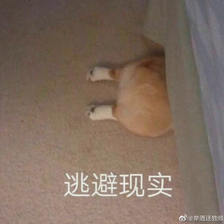 Li_Cat001于2021-10-05 09:45发布的图片