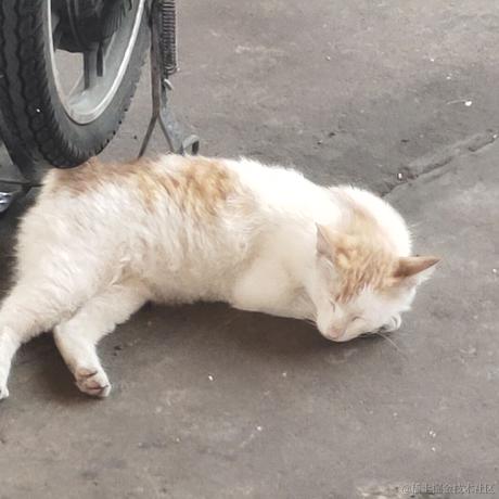 秋阳向晚于2022-11-13 13:36发布的图片