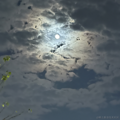 ObliviateOnline于2022-11-10 21:25发布的图片