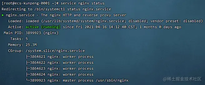 2021-05-19-NginxStatus.png