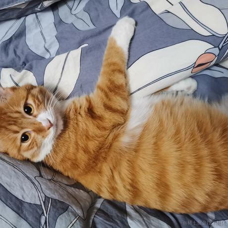 柒弎于2022-12-09 19:52发布的图片