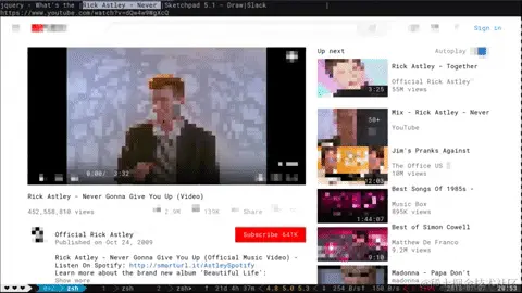 browsh-example-usage（浏览示例用法）