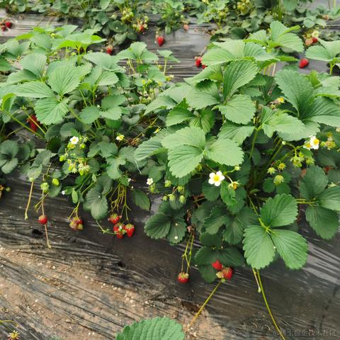 夜尽灬天明丶于2022-05-23 20:47发布的图片