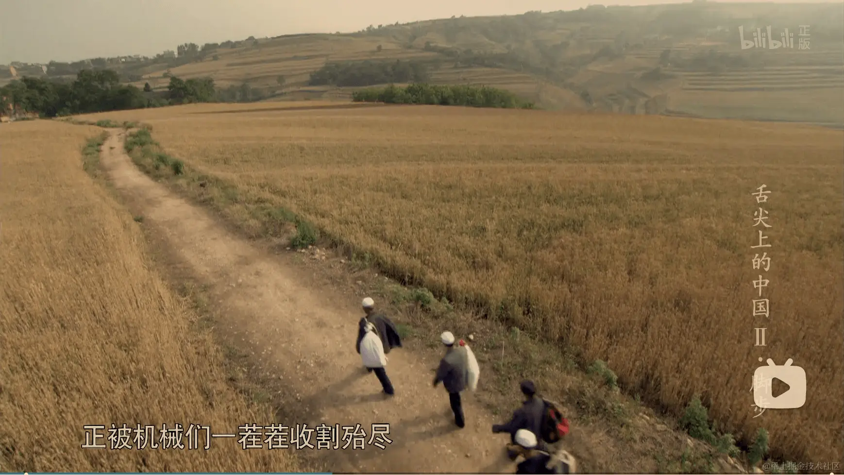 麦客，已经消失的古老行业