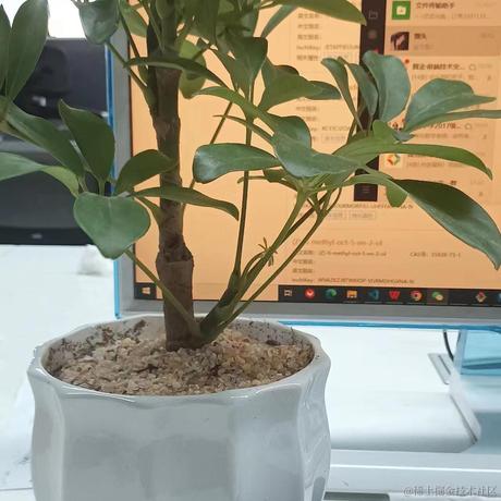 zue于2023-07-24 11:29发布的图片