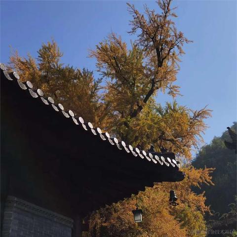 下午看落日于2023-10-30 14:52发布的图片