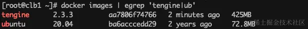 image-20240314174223934