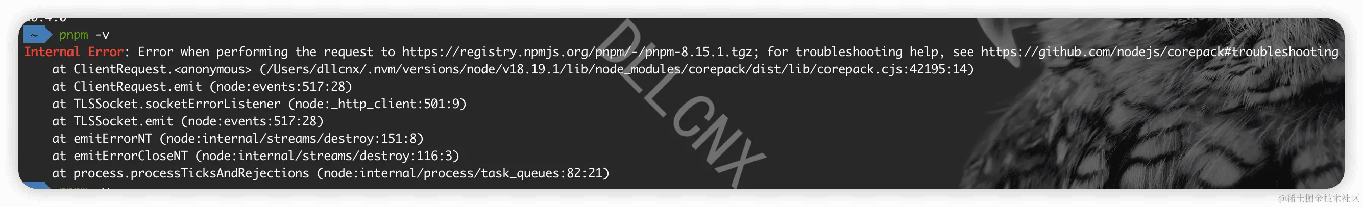 image-20240222214133982