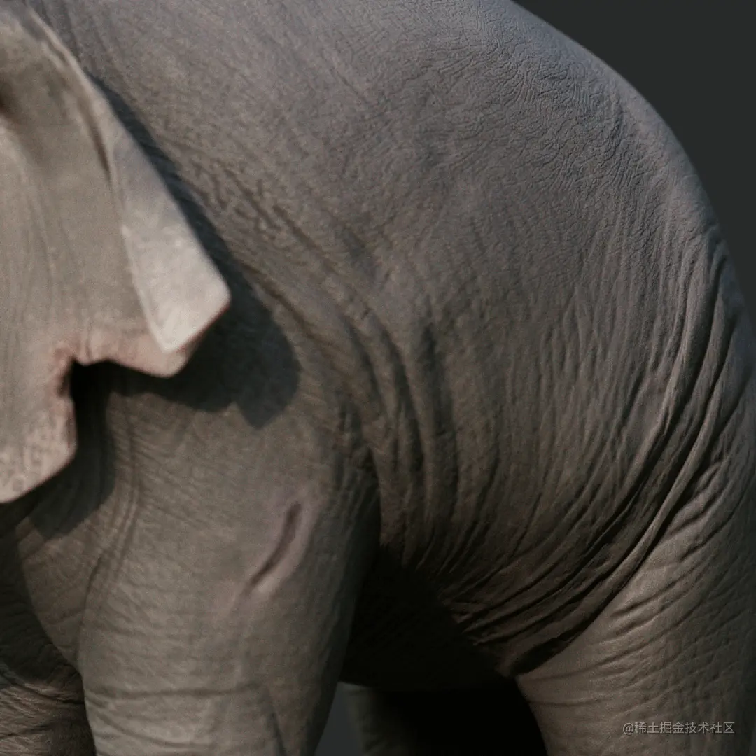 《象群挽歌》动画模型定稿