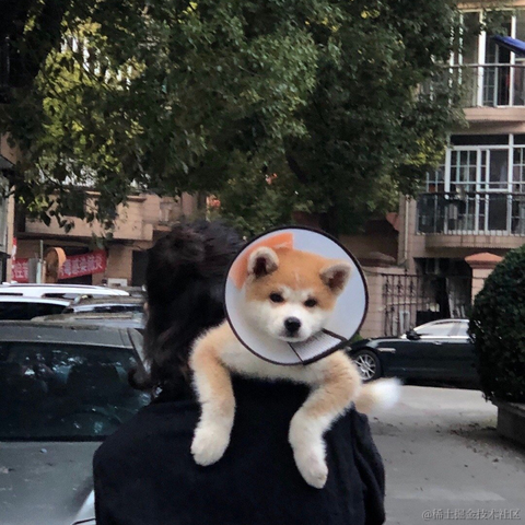 晚比大魔王于2022-11-29 09:26发布的图片