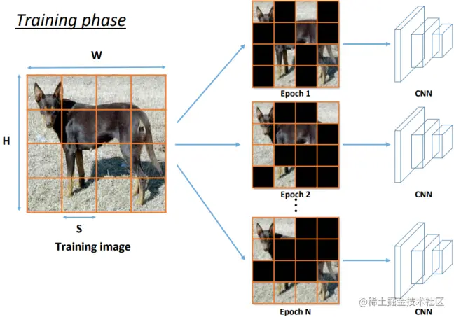 An example of Hide-and-Seek augmentation