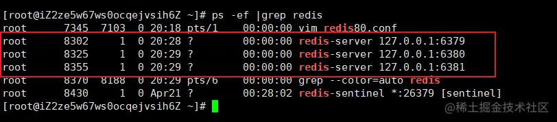 image-20200503203129097