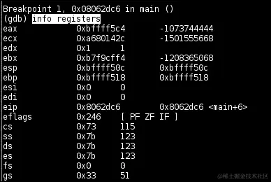 检查寄存器、内存值和运行时信息
