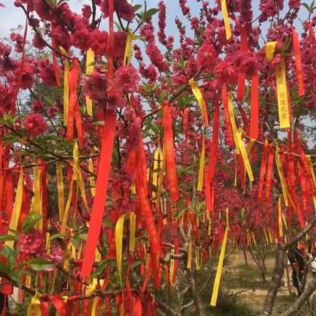 媛媛啊9813于2024-03-24 20:16发布的图片