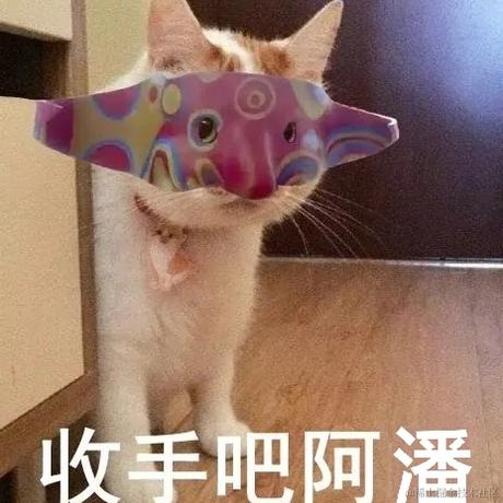 Alcoholic_rabbit于2022-12-08 01:00发布的图片
